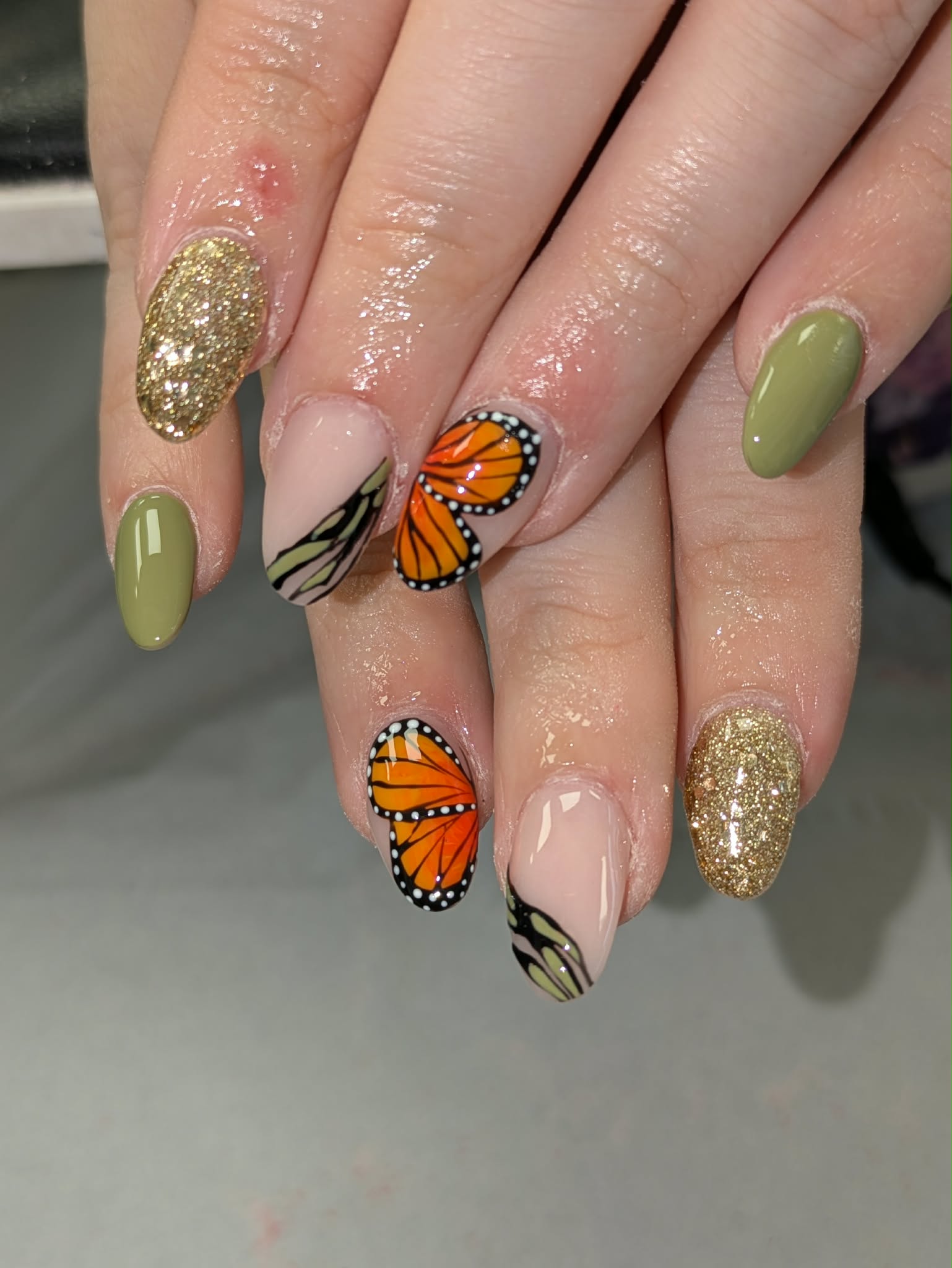 Olive butterfly